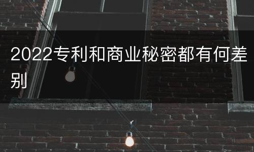 2022专利和商业秘密都有何差别