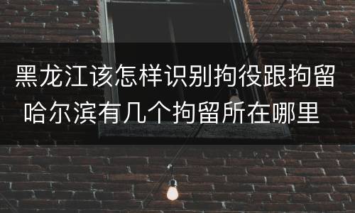 黑龙江该怎样识别拘役跟拘留 哈尔滨有几个拘留所在哪里
