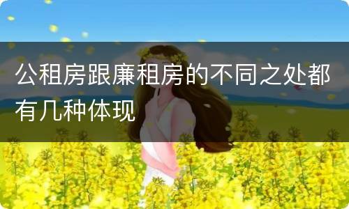 公租房跟廉租房的不同之处都有几种体现