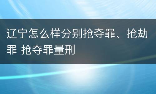 辽宁怎么样分别抢夺罪、抢劫罪 抢夺罪量刑