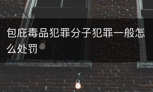 包庇毒品犯罪分子犯罪一般怎么处罚