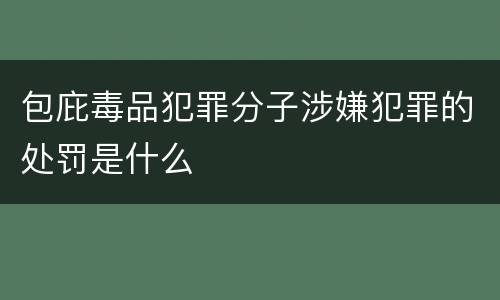 包庇毒品犯罪分子涉嫌犯罪的处罚是什么