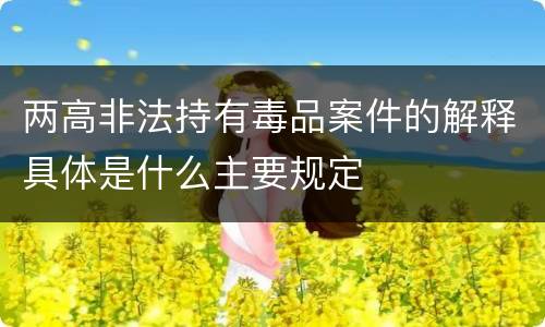 两高非法持有毒品案件的解释具体是什么主要规定