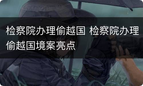 检察院办理偷越国 检察院办理偷越国境案亮点