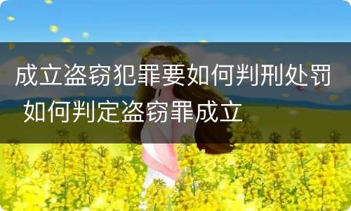 成立盗窃犯罪要如何判刑处罚 如何判定盗窃罪成立