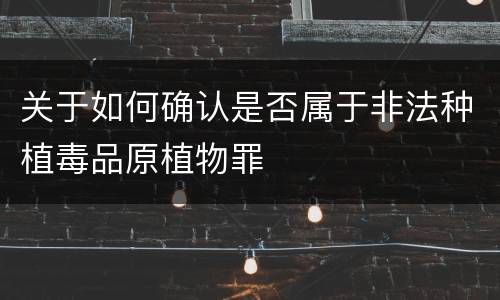 关于如何确认是否属于非法种植毒品原植物罪