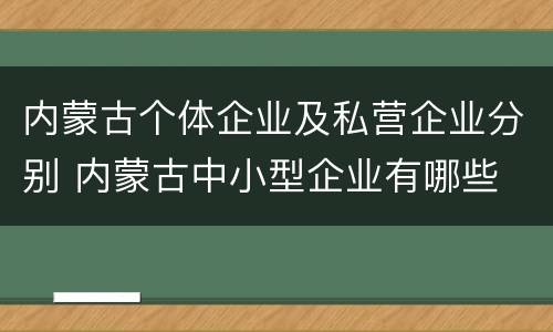 内蒙古个体企业及私营企业分别 内蒙古中小型企业有哪些