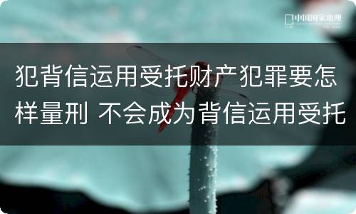 犯背信运用受托财产犯罪要怎样量刑 不会成为背信运用受托财产罪的犯罪主体