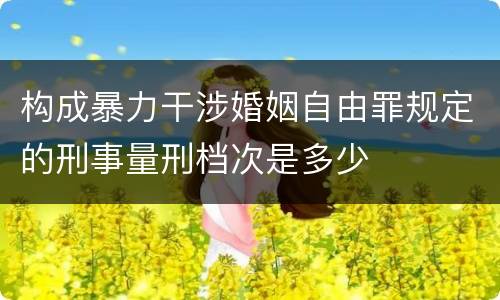 构成暴力干涉婚姻自由罪规定的刑事量刑档次是多少