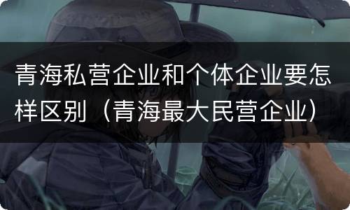 青海私营企业和个体企业要怎样区别（青海最大民营企业）