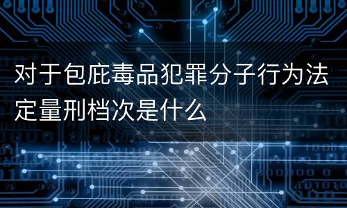 对于包庇毒品犯罪分子行为法定量刑档次是什么