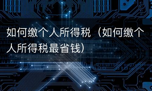 如何缴个人所得税（如何缴个人所得税最省钱）