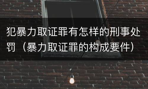 犯暴力取证罪有怎样的刑事处罚（暴力取证罪的构成要件）