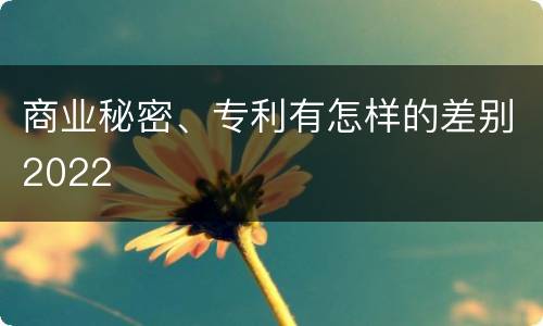 商业秘密、专利有怎样的差别2022