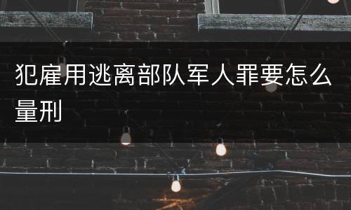 犯雇用逃离部队军人罪要怎么量刑