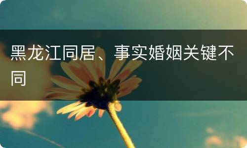 黑龙江同居、事实婚姻关键不同