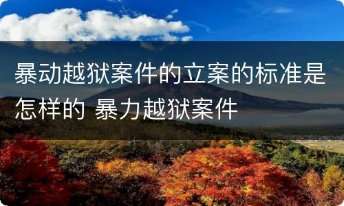 暴动越狱案件的立案的标准是怎样的 暴力越狱案件