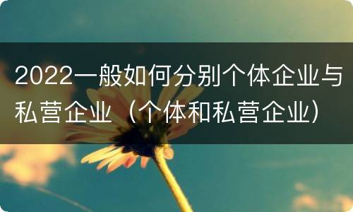 2022一般如何分别个体企业与私营企业（个体和私营企业）