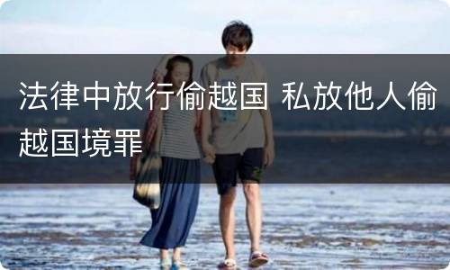法律中放行偷越国 私放他人偷越国境罪