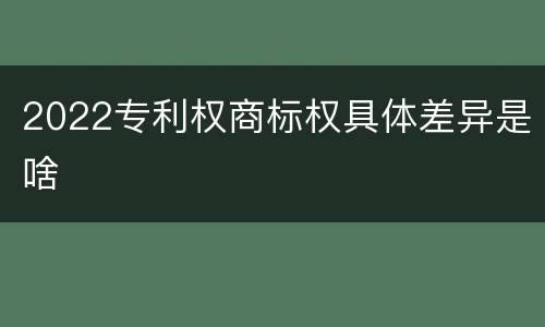 2022专利权商标权具体差异是啥