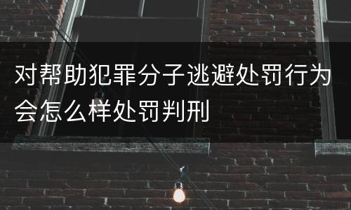 对帮助犯罪分子逃避处罚行为会怎么样处罚判刑