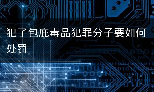 犯了包庇毒品犯罪分子要如何处罚