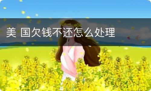 美 国欠钱不还怎么处理