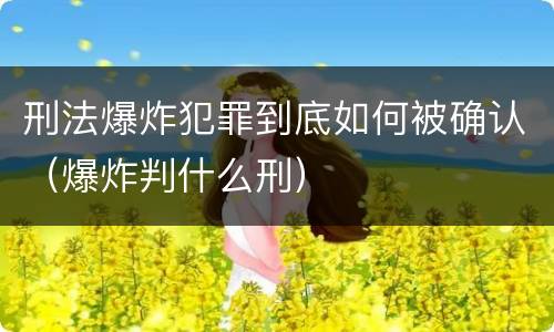刑法爆炸犯罪到底如何被确认（爆炸判什么刑）