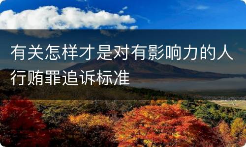 有关怎样才是对有影响力的人行贿罪追诉标准