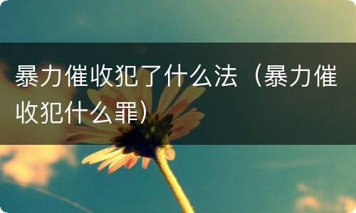 暴力催收犯了什么法（暴力催收犯什么罪）