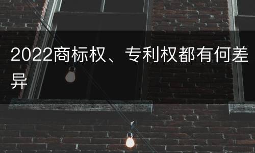 2022商标权、专利权都有何差异