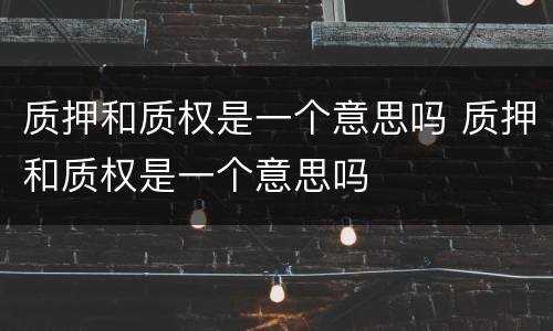 质押和质权是一个意思吗 质押和质权是一个意思吗