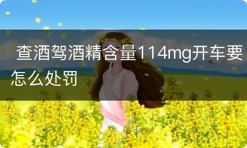  查酒驾酒精含量114mg开车要怎么处罚