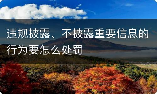 违规披露、不披露重要信息的行为要怎么处罚