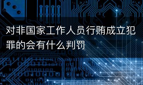 对非国家工作人员行贿成立犯罪的会有什么判罚