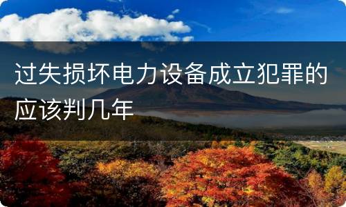 过失损坏电力设备成立犯罪的应该判几年