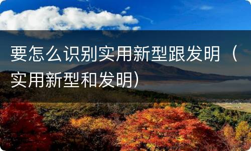 要怎么识别实用新型跟发明（实用新型和发明）