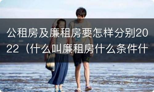 公租房及廉租房要怎样分别2022（什么叫廉租房什么条件什么叫公租房）