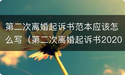 第二次离婚起诉书范本应该怎么写（第二次离婚起诉书2020最新版）