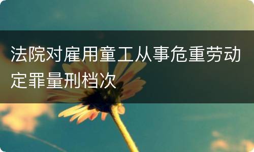 法院对雇用童工从事危重劳动定罪量刑档次