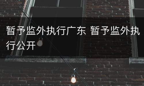 暂予监外执行广东 暂予监外执行公开