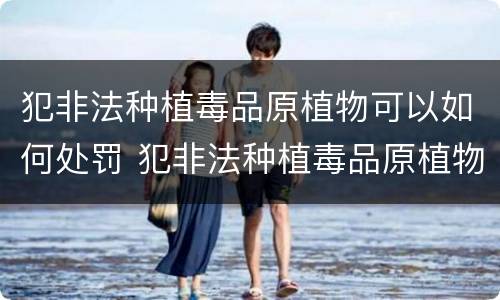 犯非法种植毒品原植物可以如何处罚 犯非法种植毒品原植物可以如何处罚呢