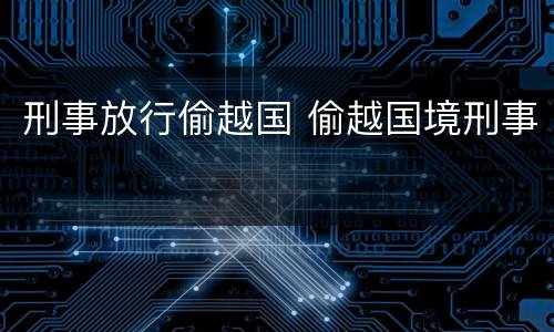 刑事放行偷越国 偷越国境刑事