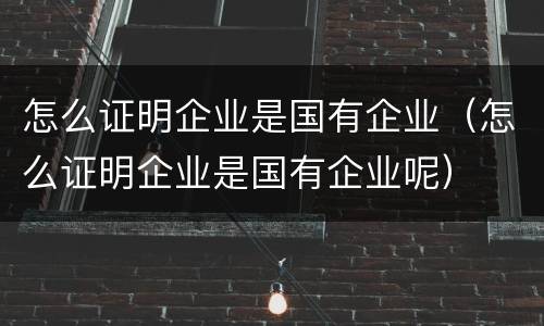 怎么证明企业是国有企业（怎么证明企业是国有企业呢）