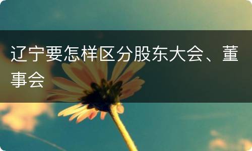 辽宁要怎样区分股东大会、董事会