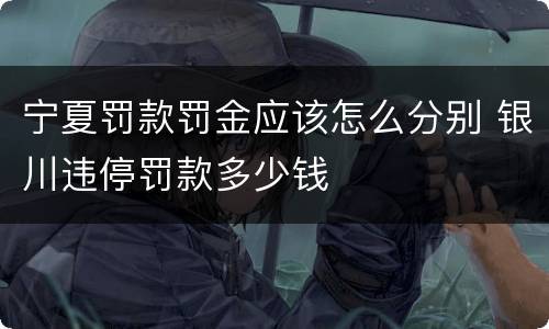 宁夏罚款罚金应该怎么分别 银川违停罚款多少钱