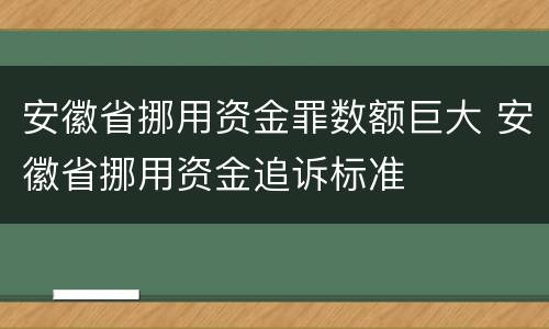 安徽省挪用资金罪数额巨大 安徽省挪用资金追诉标准