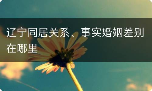辽宁同居关系、事实婚姻差别在哪里