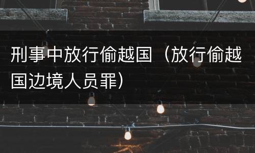 刑事中放行偷越国（放行偷越国边境人员罪）