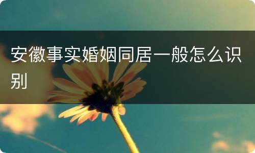 安徽事实婚姻同居一般怎么识别